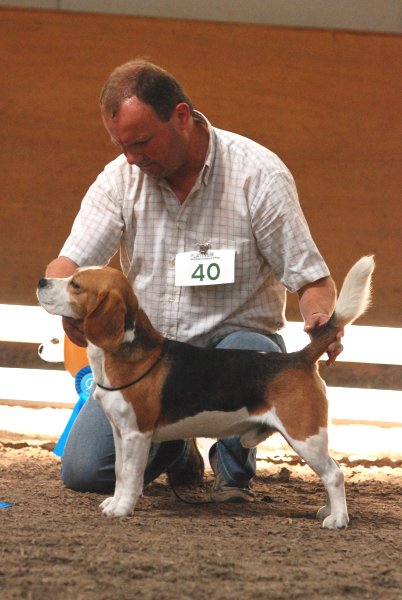 CSS 2009 in Steinhagen