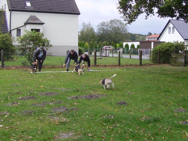 Oktoberfest 2009