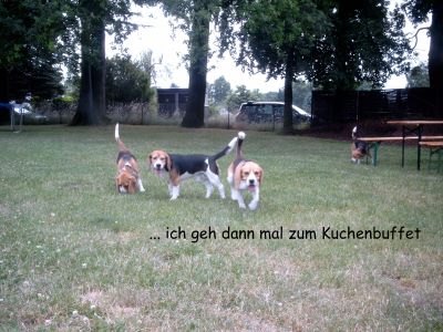 ... ich geh dann mal zum Kuchenbuffet