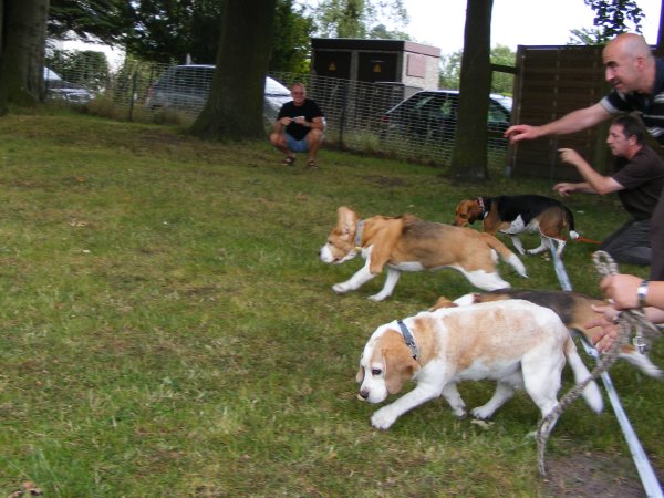 Sommerfest 2009