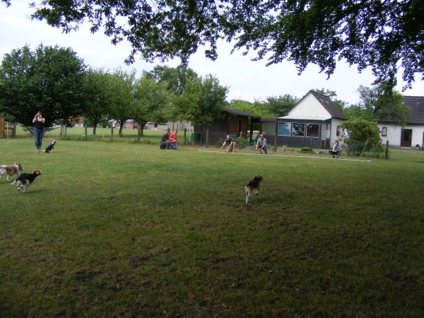 Sommerfest 2009