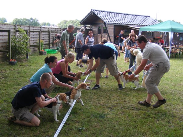 Sommerfest 2009
