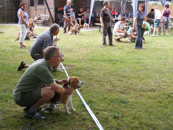 Sommerfest 2009