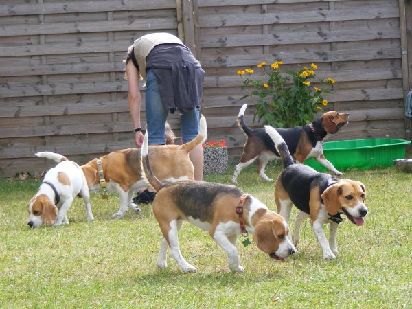 Sommerfest 2009