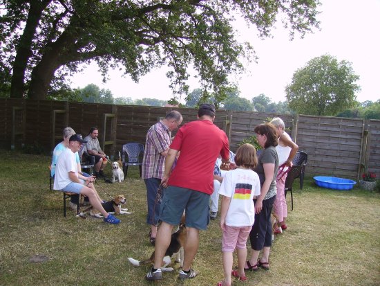 Sommerfest 2010