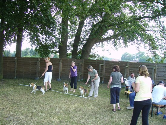 Sommerfest 2010