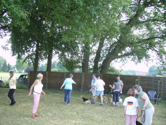Sommerfest 2010