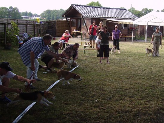 Sommerfest 2010