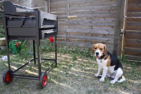 Sommerfest 2010